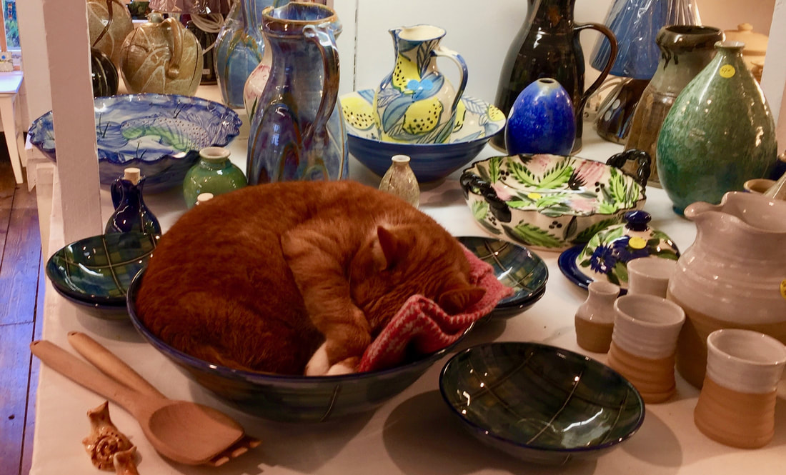 Cat sleeping in a bowl Crail Pottery Crail Fife Scotland UK
